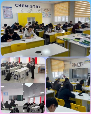 Единый диктант на тему «Создание среды, свободной от преступности, – долг общества».